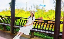 伊甸园之东下载